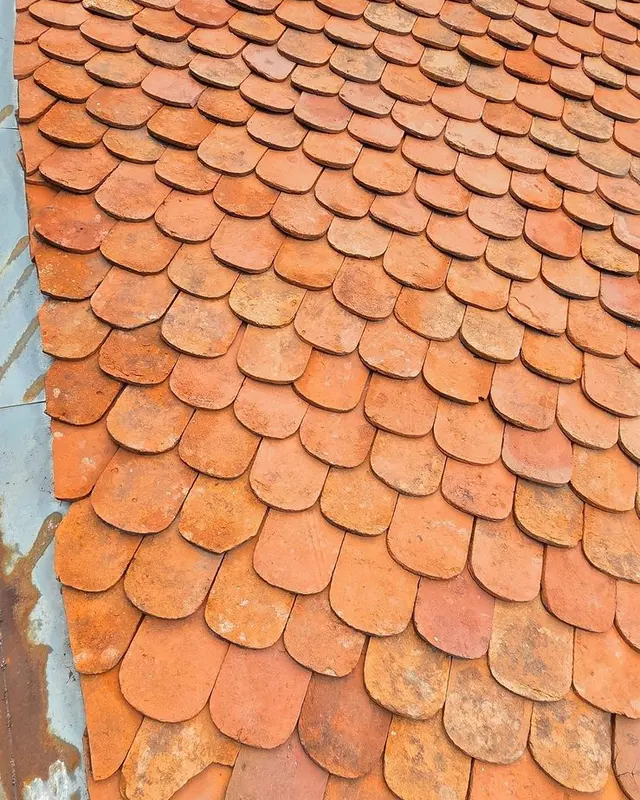 Țiglă solzi în timpul curățării, cu diferența dintre zona spălată și cea nespălată