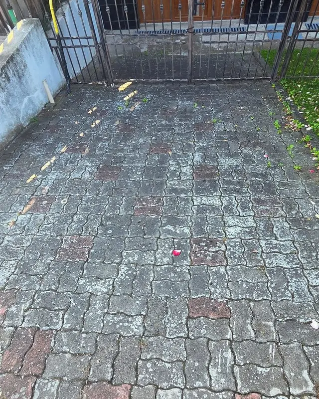 Curte cu pavele autoblocante înnegrite la intrarea pe poartă, înainte de curățare