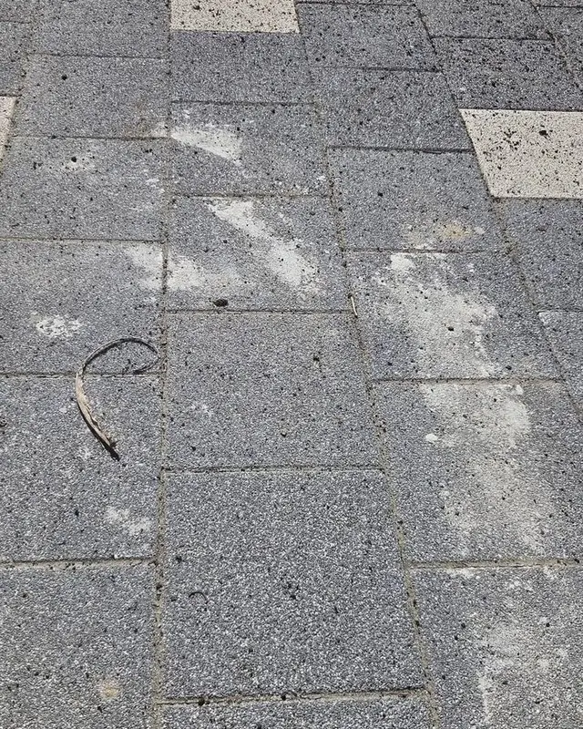 Dale gri cu pete și depuneri, înainte de spălare
