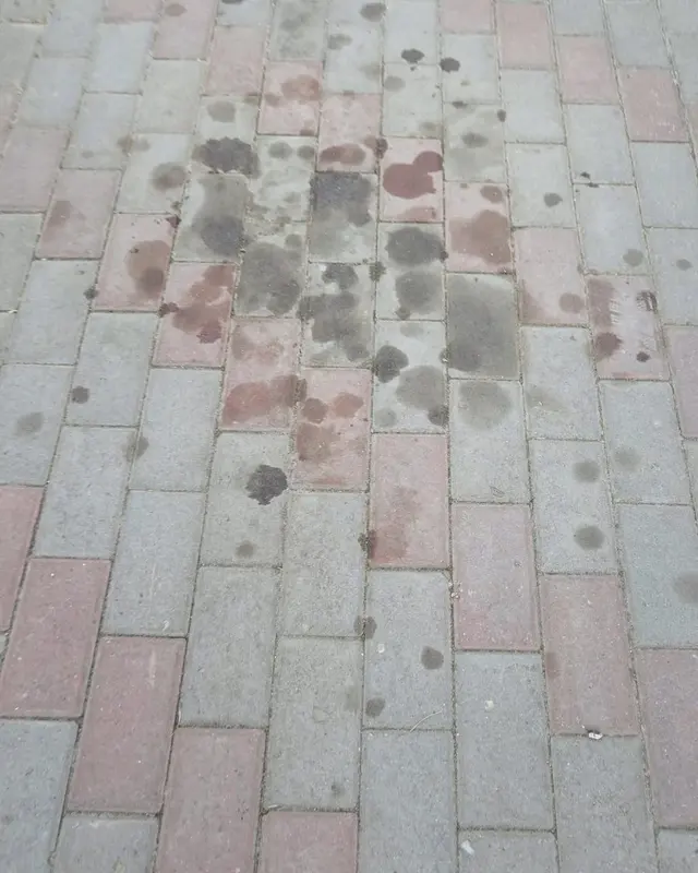 Pavaj bicolor cu pete închise la culoare, înainte de spălare